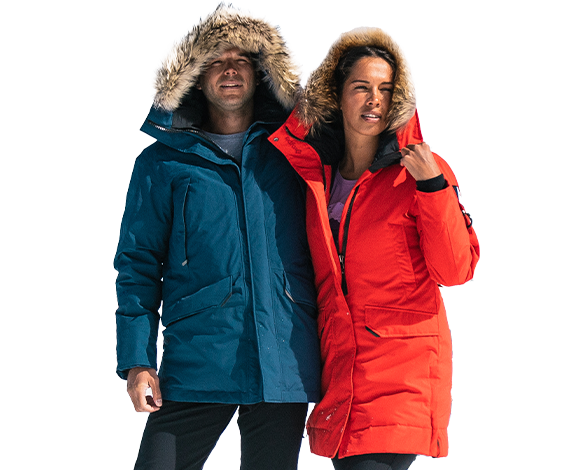 Коллекция Arctic