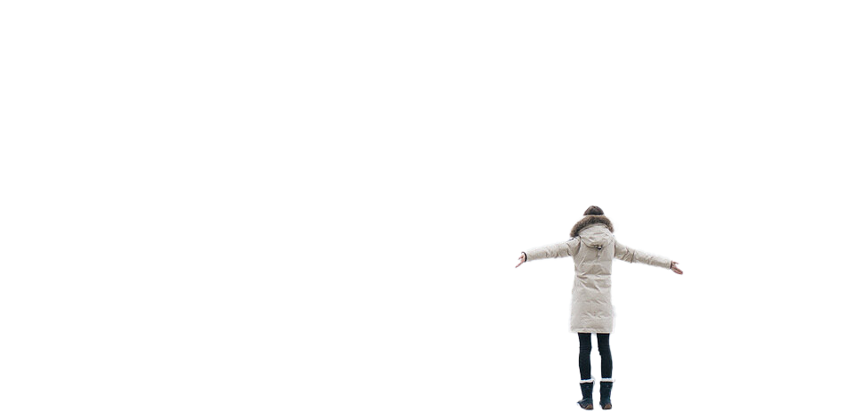 Red Fox - Твой путь к вершине