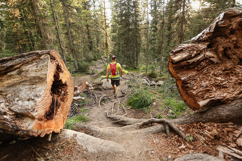 photo_2025-07-30_19-16-36.jpg photo_2025-07-30_19-16-36.jpg