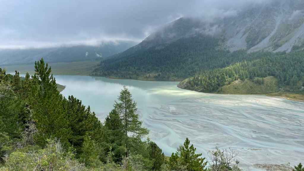 WhatsApp Image 2025-08-06 at 10.37.03.jpeg