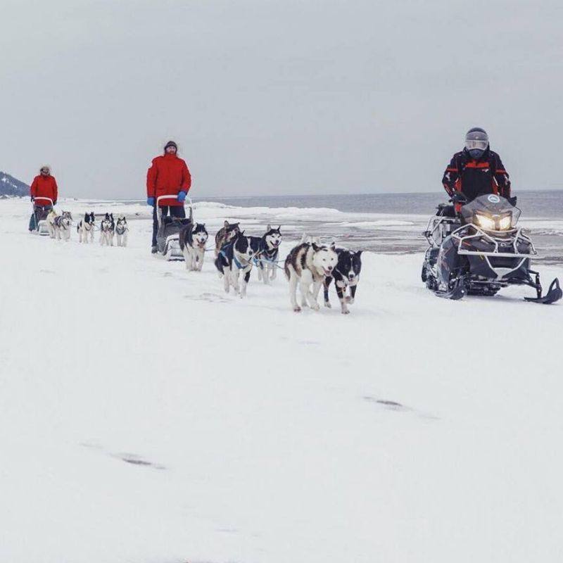 5264884350573023683.jpg 5264884350573023683.jpg