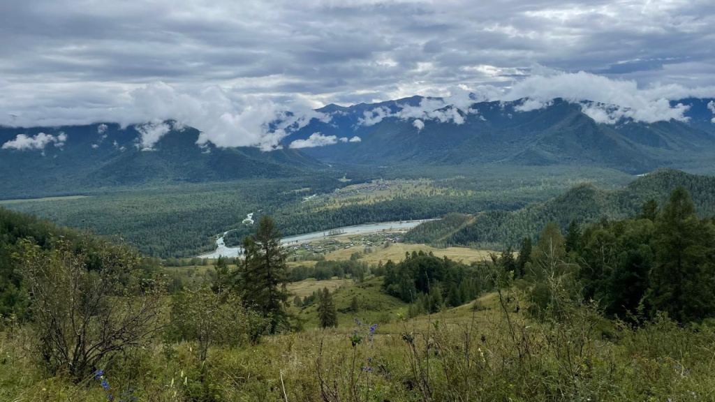 Природа Алтая