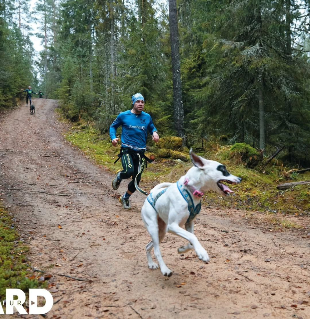 photo_2025-11-14_13-41-52 (2).jpg