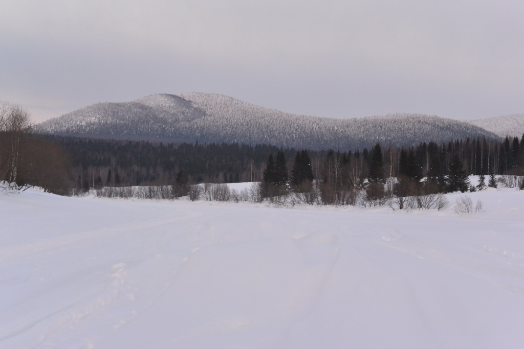 DSC_4606_новый размер.JPG