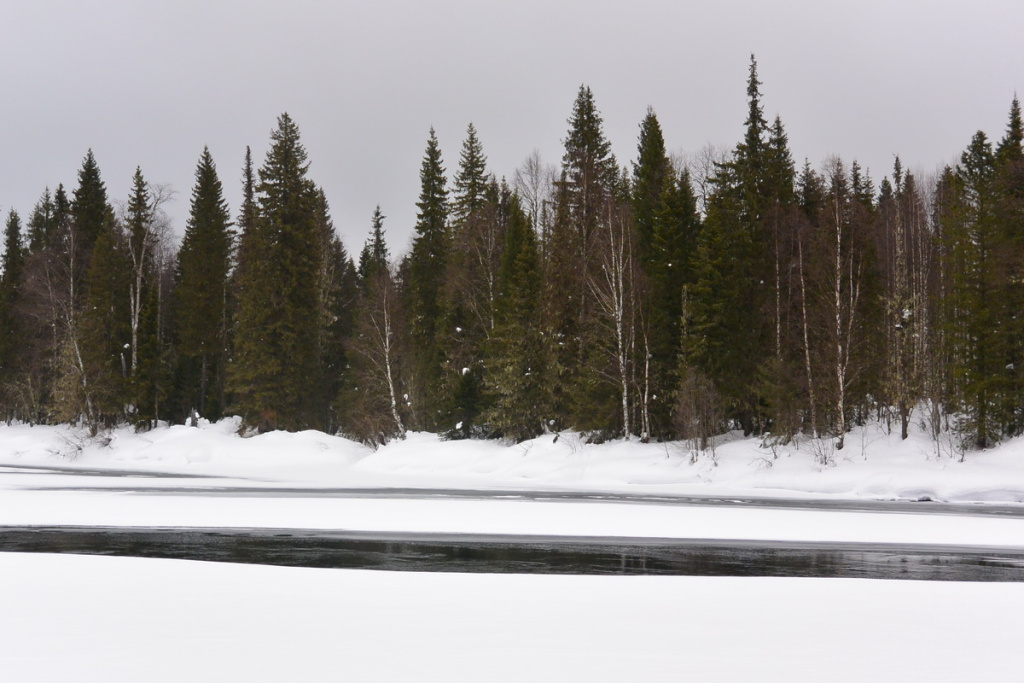 DSC_4769 (1)_новый размер.JPG