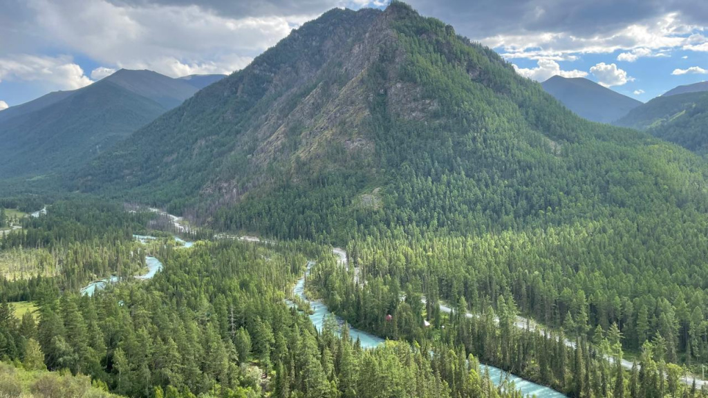 WhatsApp Image 2025-08-05 at 14.46.29.jpeg