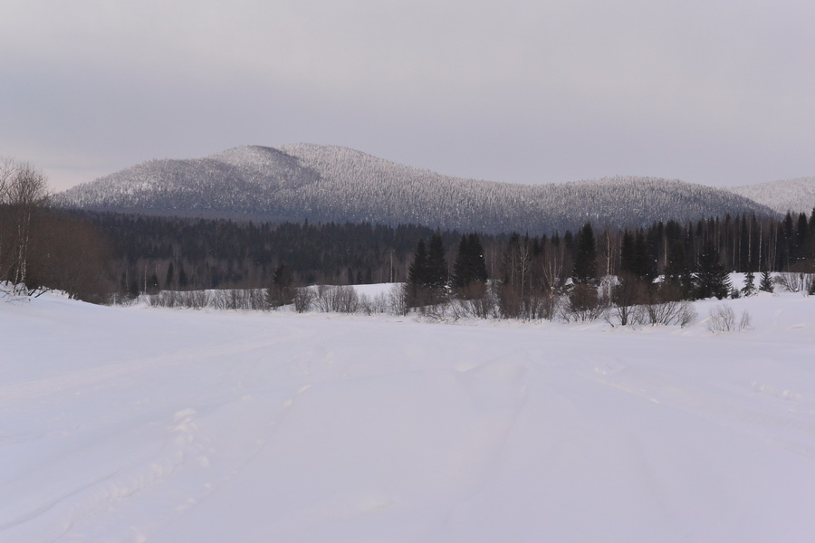 DSC_4606_новый размер.JPG