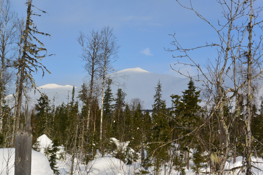 DSC_4672 (1)_новый размер.JPG