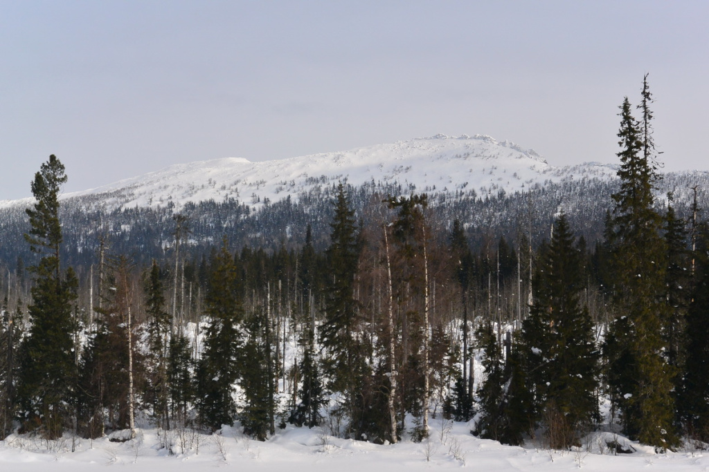 DSC_4631 (1)_новый размер.JPG