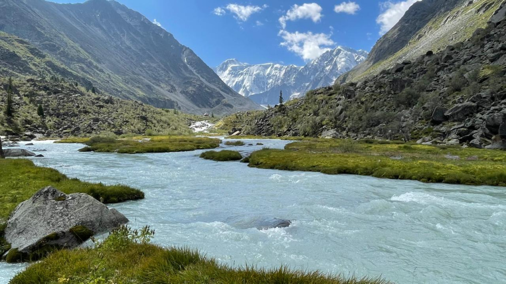 WhatsApp Image 2025-08-06 at 10.37.16.jpeg