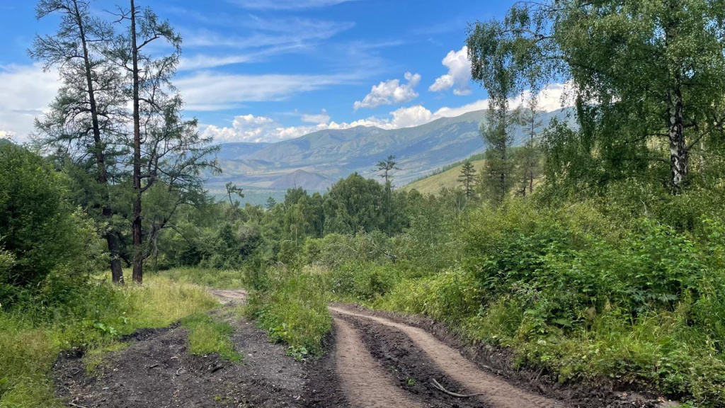 WhatsApp Image 2025-08-06 at 10.37.37 (1).jpeg