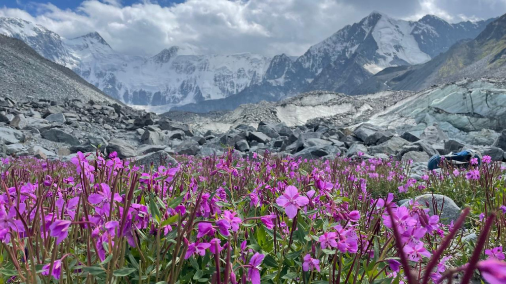 WhatsApp Image 2025-08-06 at 10.37.35.jpeg