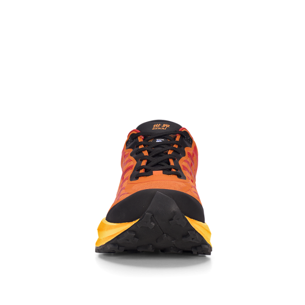 67bda9f1e39ee149376bdf15.png