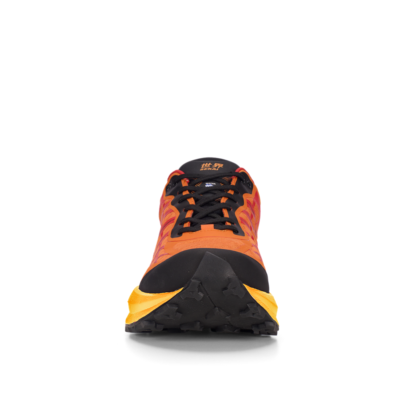 67bda9f1e39ee149376bdf15.png