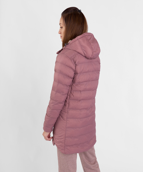 redfox_20240930_-1563 copy.jpg