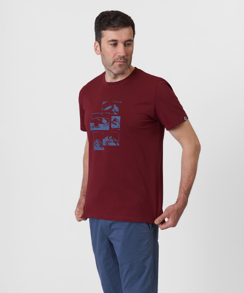 Футболка Sl Мужская (S, 1100/бордовый, , , , , )