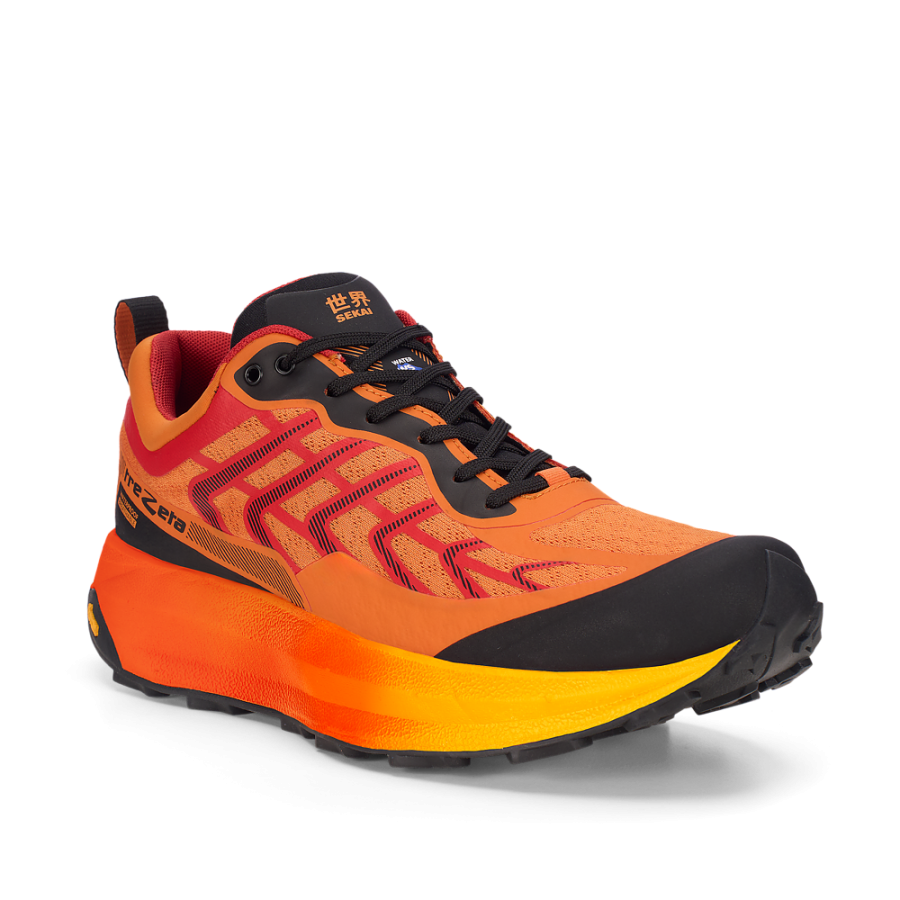 67bda9eee39ee149376bdf0e (2).png