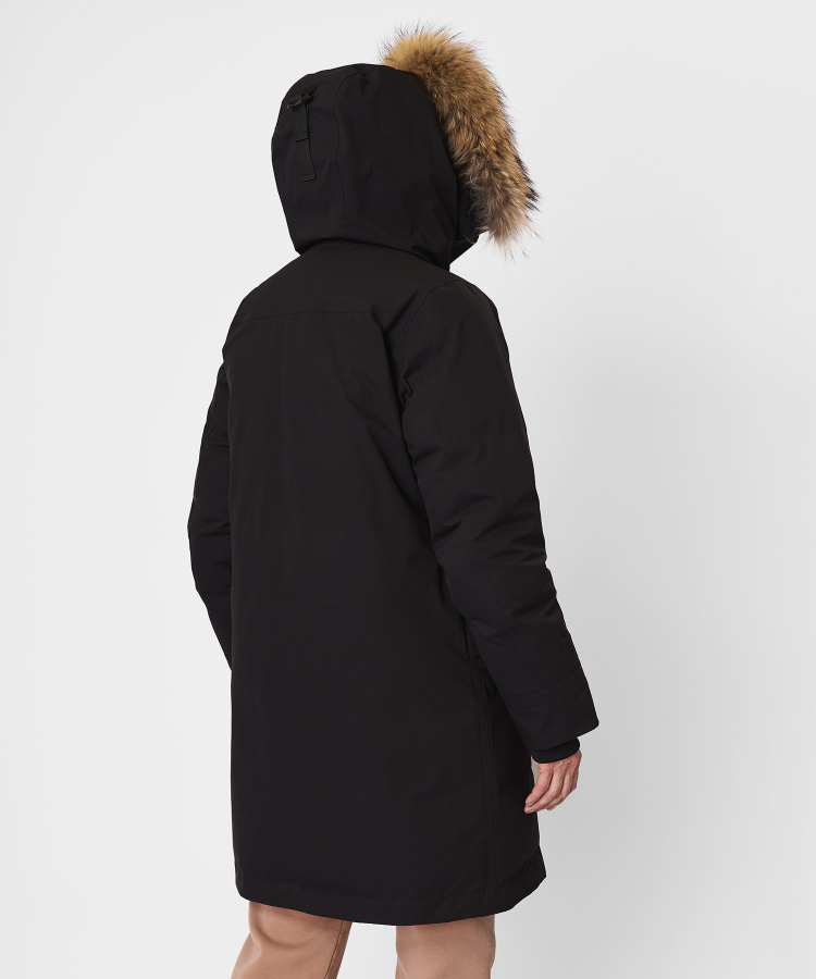 rf_20260220_-1748 copy.jpg