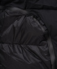 dsc09811-copy.jpg