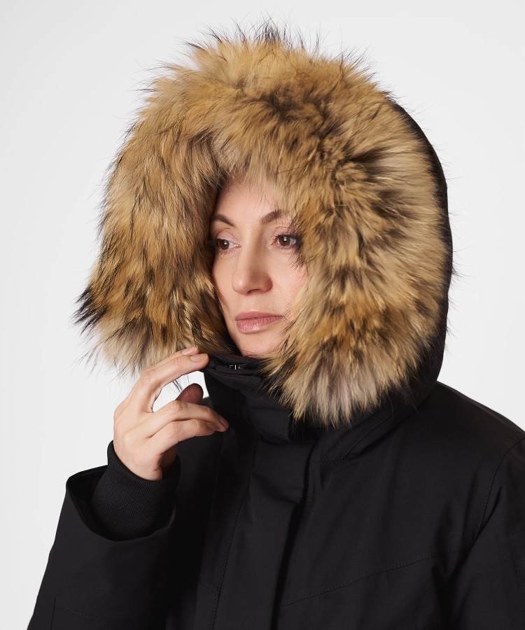 rf_20260220_-1759 copy.jpg