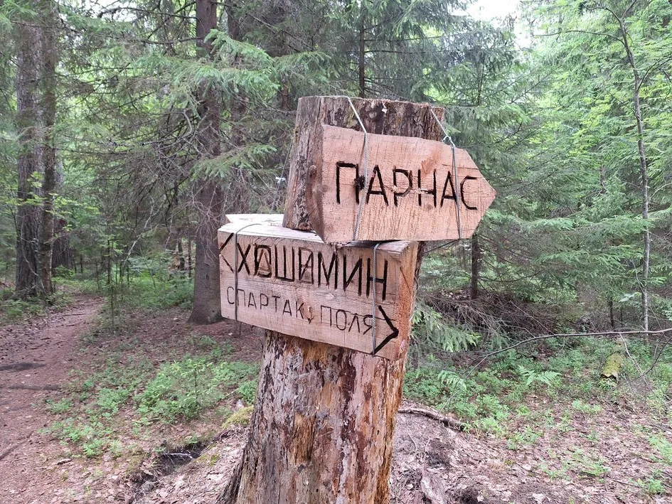 02.jpg