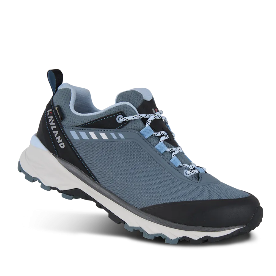 Ботинки STRIDER W'S GTX 